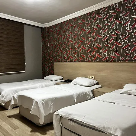 Otel Madi *